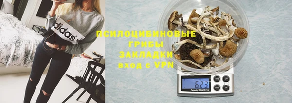 тгк Нязепетровск