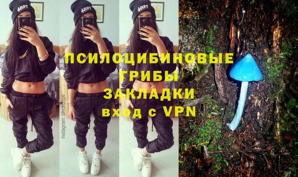 прущий лед Няндома