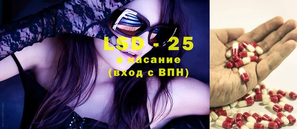 индика Новозыбков