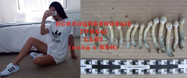 прущий лед Няндома