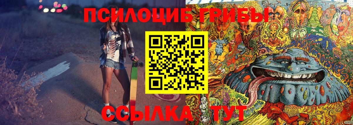 Галлюциногенные грибы Psilocybe Конаково