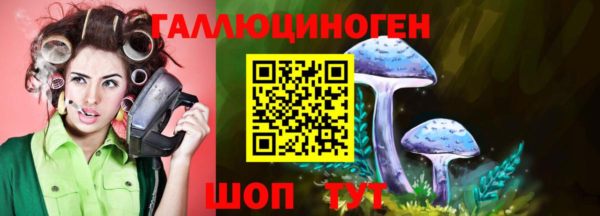 что такое наркотик  Вход с VPN  Конаково  Галлюциногенные грибы Psilocybe 