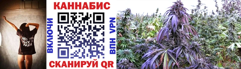 Конопля сатива Конаково